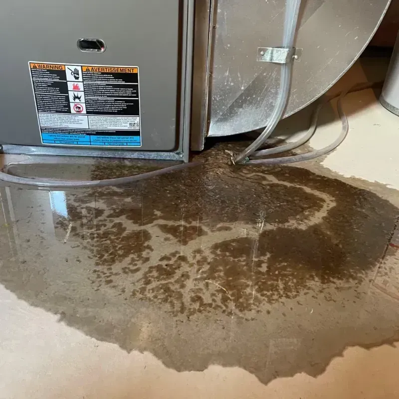 Appliance Leak Cleanup in Granite Bay, CA